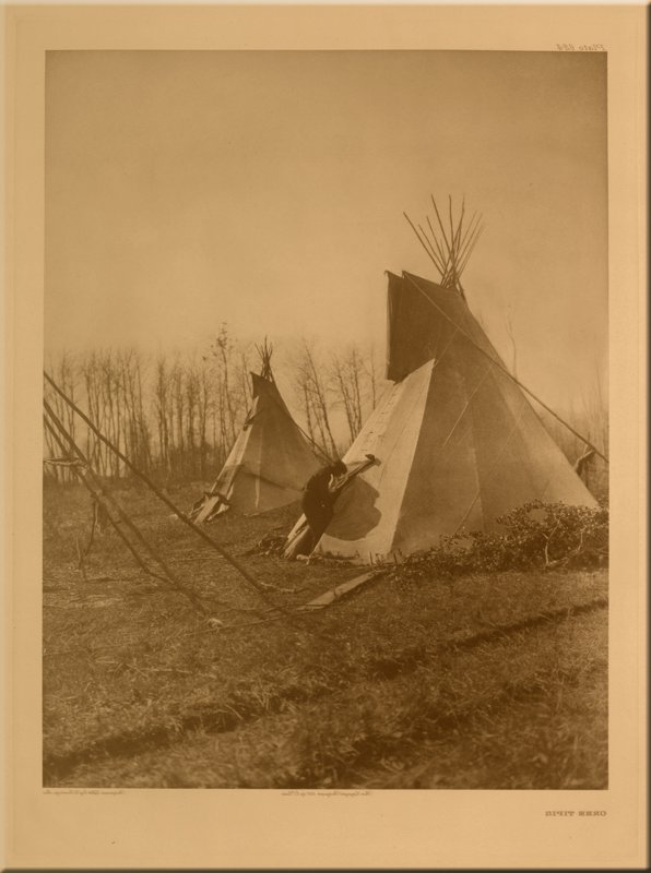 Cree Tipis