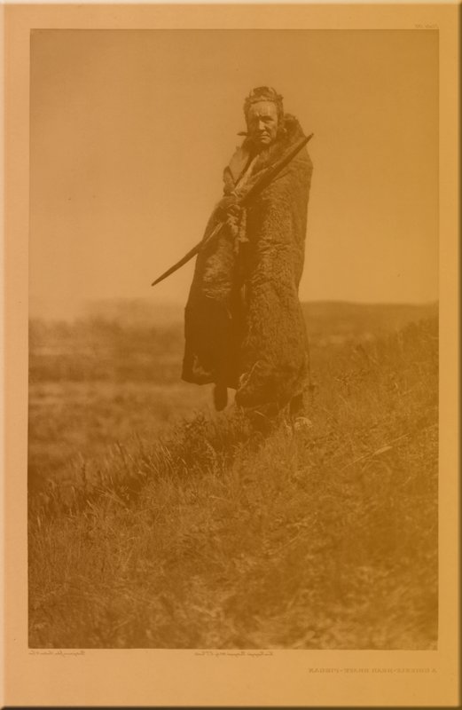 A Grizzly Bear Brave