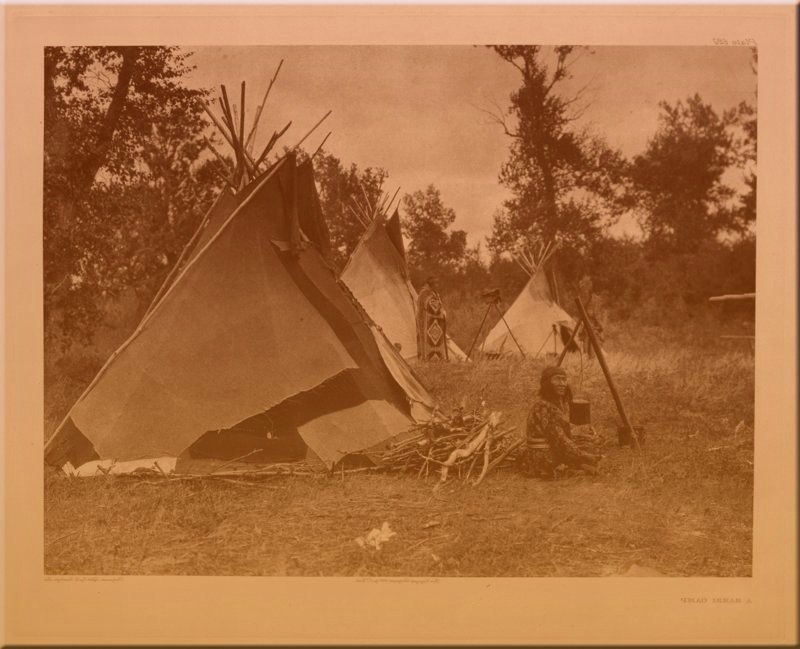 A Sarsi Camp