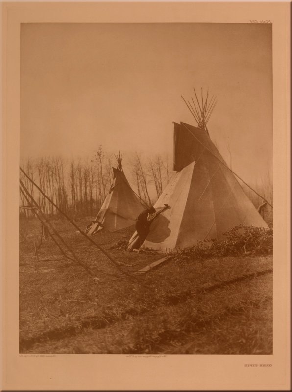 Cree Tipis